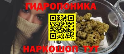 Альфа ПВП Заводоуковск