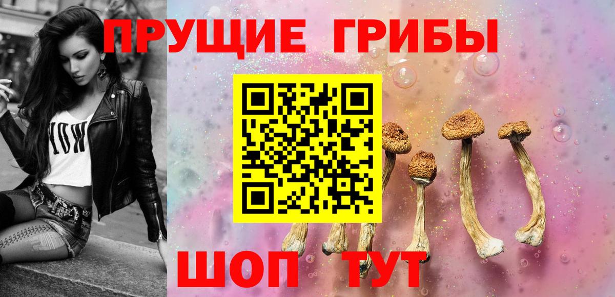 Людиново  где купить наркоту  Вход с VPN  Галлюциногенные грибы MAGIC MUSHROOMS 